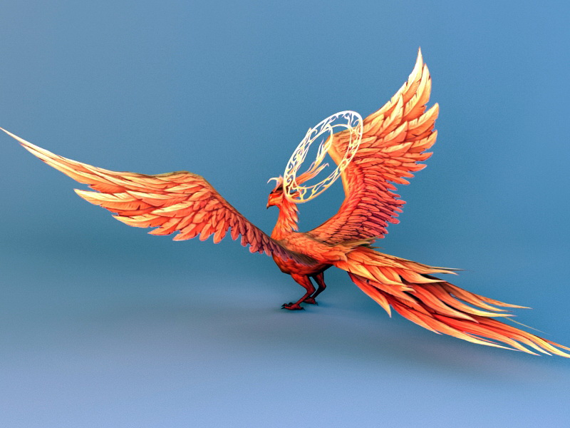 bird wing 3d model