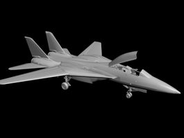 Grumman F-14 Fighter 3d model preview