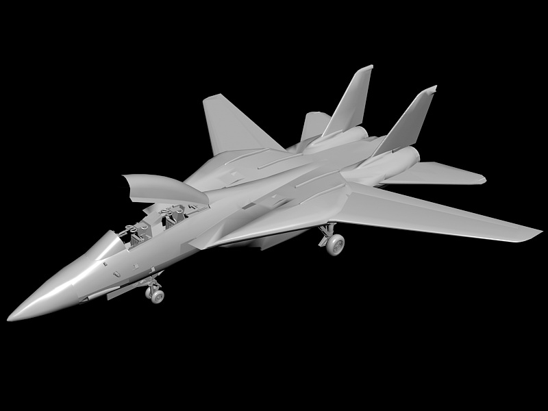 Grumman F-14 Fighter 3d rendering