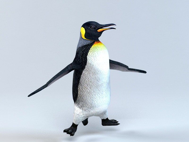 Animated Penguin Rig 3d rendering