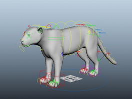 African Leopard Rig 3d model preview