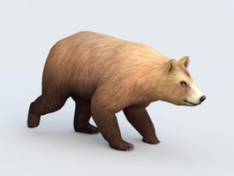 Bear Walking Animation 3d model preview