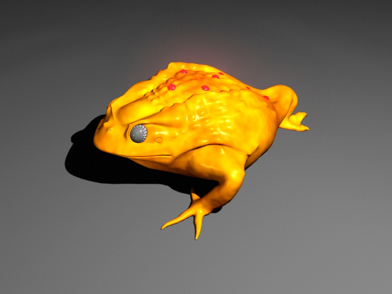 Golden Toad Rig 3d rendering