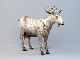Low Poly Goat 3d preview