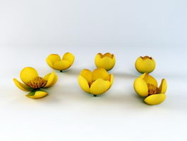 Yellow Flowers 3d model preview