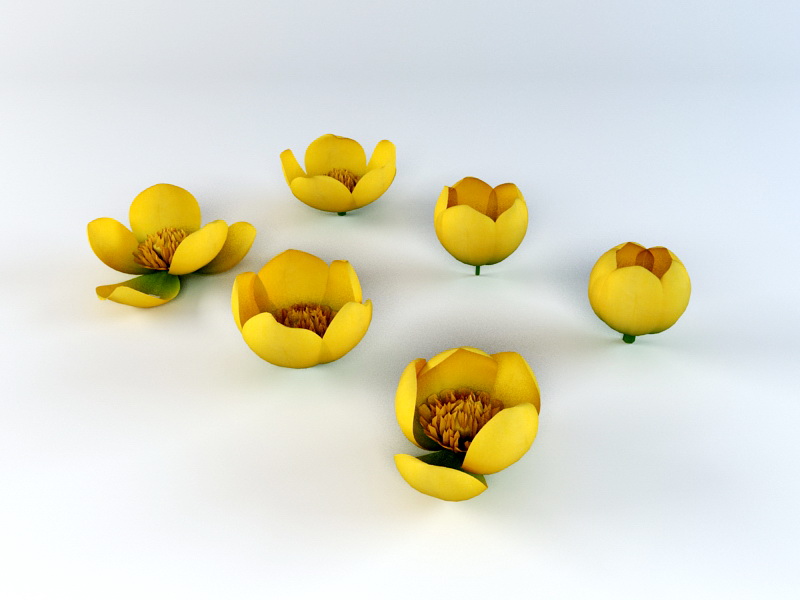 Yellow Flowers 3d rendering