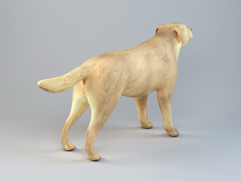 Boxer Dog 3d rendering