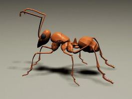 Red Ant 3d model preview