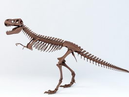 t rex skeleton for sale