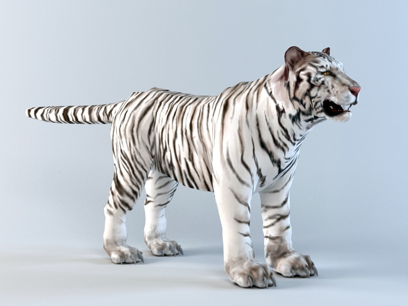 White Tiger 3D model