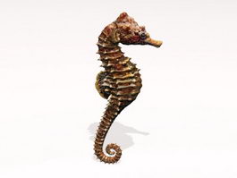 Brown Seahorse 3d model preview