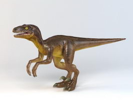 Velociraptor Dinosaur 3d model preview
