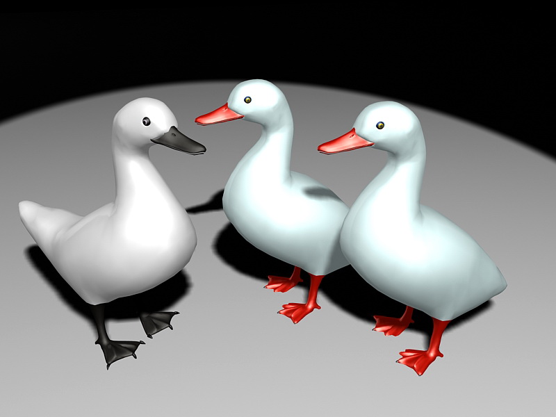 White Ducks 3d rendering