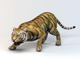 Sumatran Tiger 3d model preview