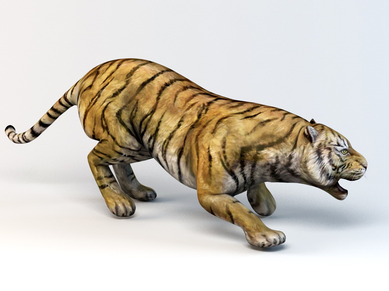 Bengal tiger 3d model - CadNav