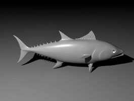 Tuna Fish 3d model preview