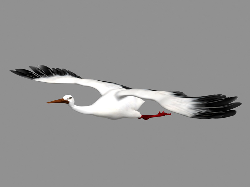 Crane Bird Flying Animation 3d model - CadNav