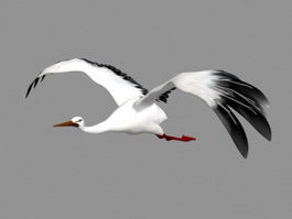 Crane Bird Flying Animation 3d model preview