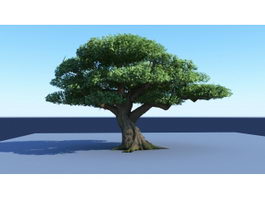 Big Tree 3d model preview