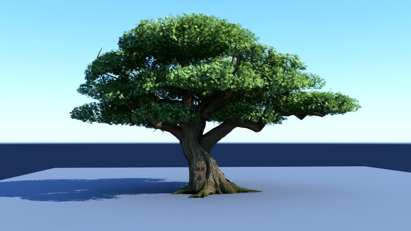 Big Tree 3d model Maya files free download modeling
