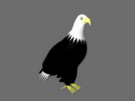 Bald Eagle 3d model preview