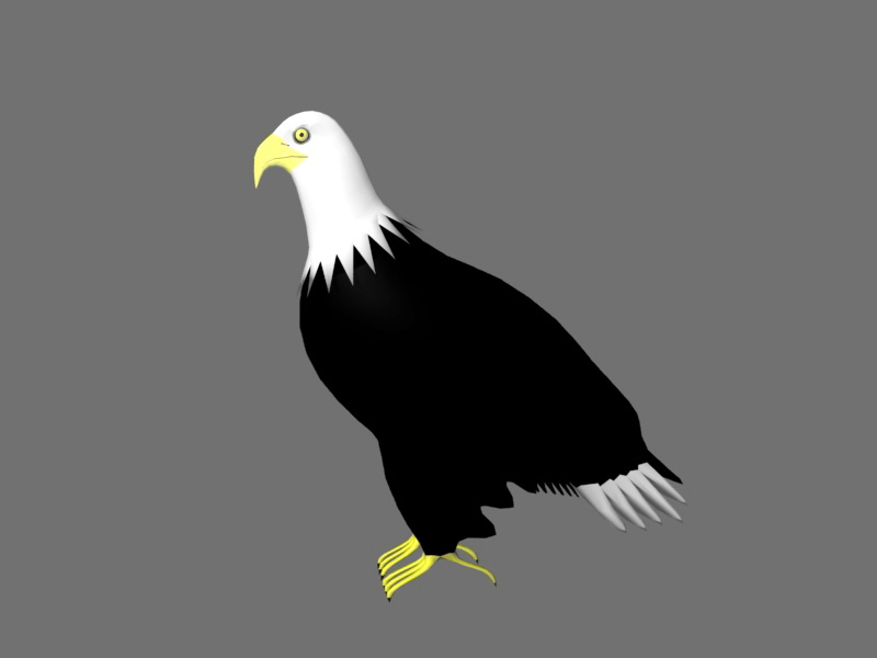 Bald Eagle 3d rendering