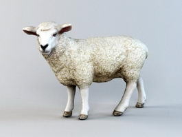 Sheep Low Poly 3d model preview