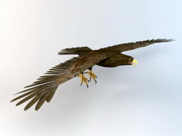 Flying Eagle Animated 3d model preview
