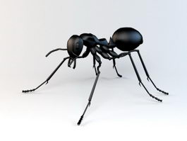 Black Ant 3d model preview