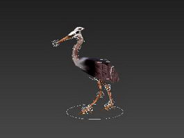 Animal Heron Bird Rig 3d model preview