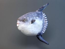 Animated Hoodwinker Sunfish Rig 3d model preview