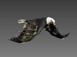 Bald Eagle Flapping Animation 3d model preview