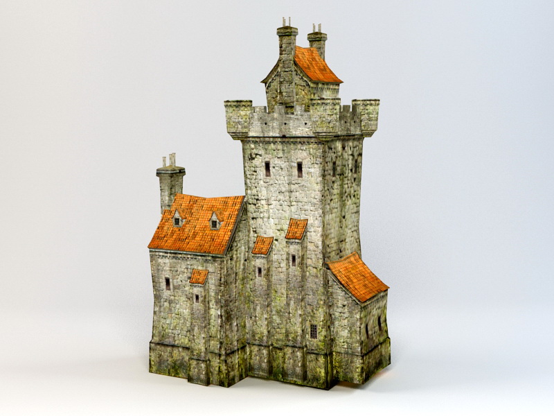 Medieval Castle Village 3d rendering