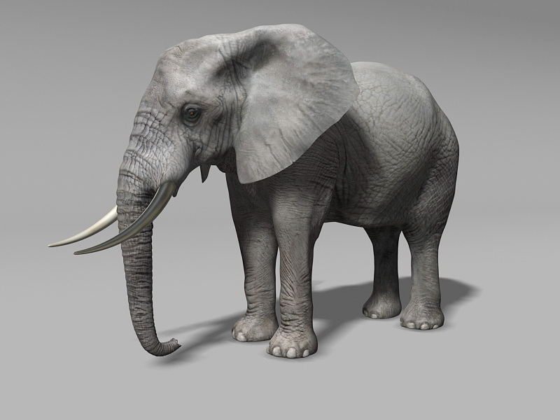 Grey Elephant 3d  model  3ds Max files free  download 