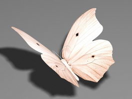 Download Butterfly 3d Model Free Download Cadnav