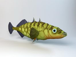 Stickleback Fish 3d model preview