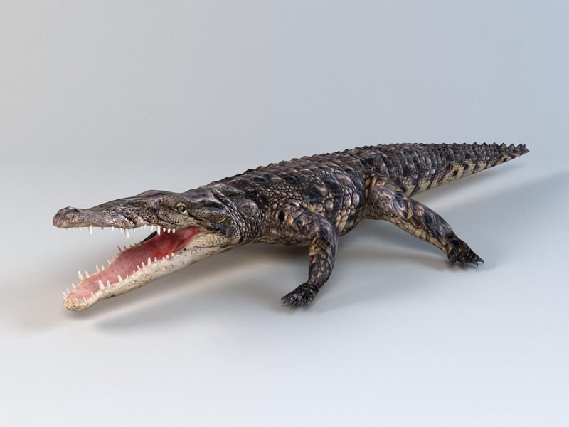 Animated Crocodile Rig 3d rendering