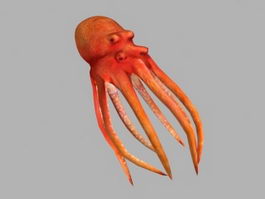 Sea Life Octopus 3d model preview