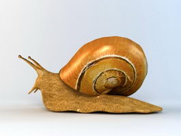 Giant Land Snail 3d model preview