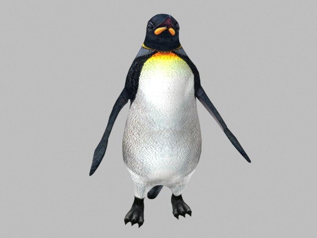 Emperor Penguin 3d rendering