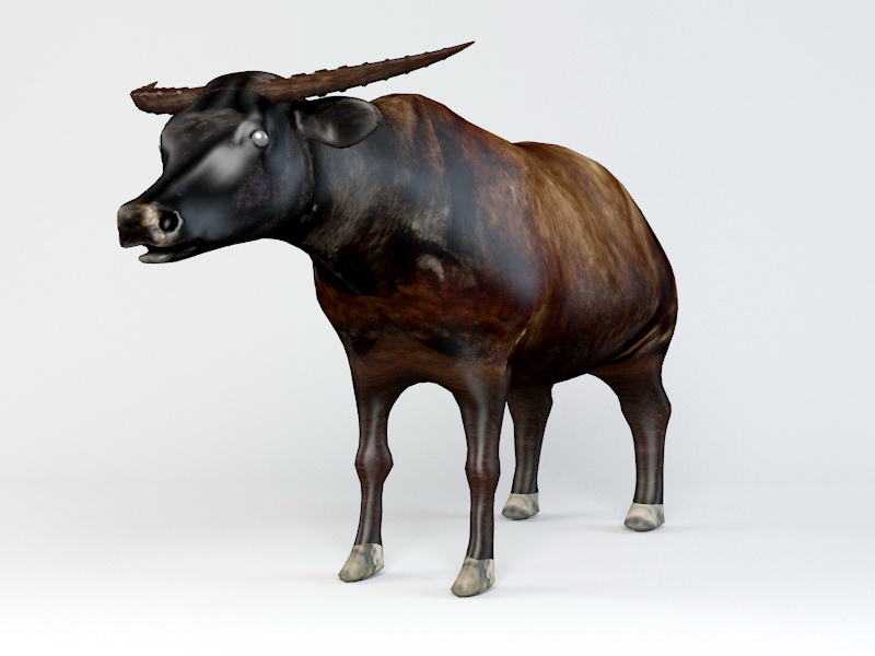 African Buffalo 3d rendering