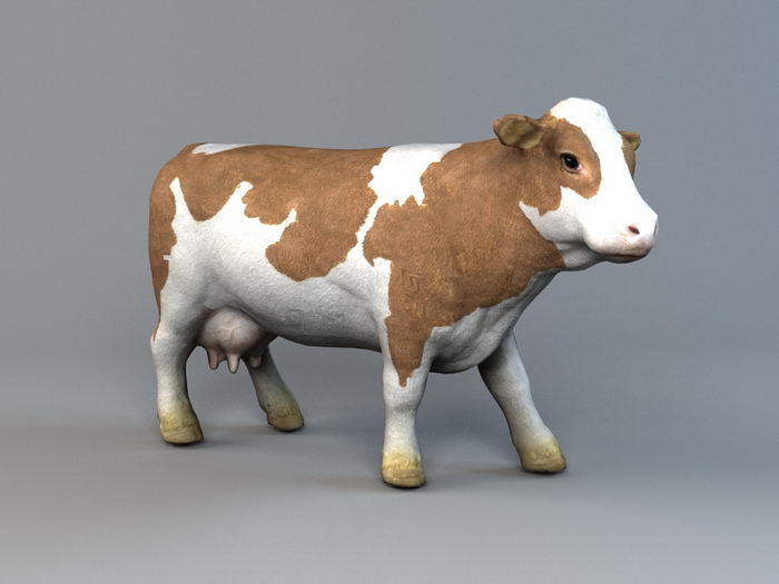 Dairy Cattle 3d rendering