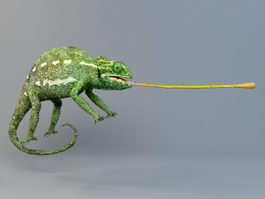 Chameleon 3d model preview