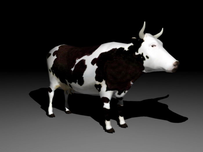 Dairy Cow 3d rendering