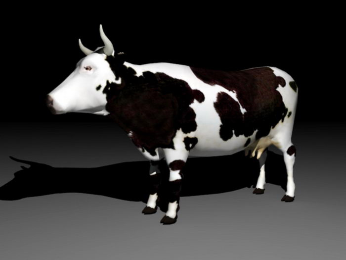 Dairy Cow 3d rendering