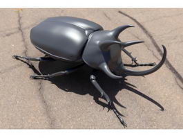 Three Horned Rhinoceros Beetle 3d model preview