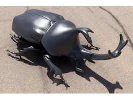 Japanese Rhinoceros Beetle 3d preview