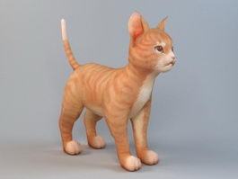 Orange Tabby Cat 3d preview