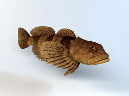 Cottus Kazika Fish 3d model preview