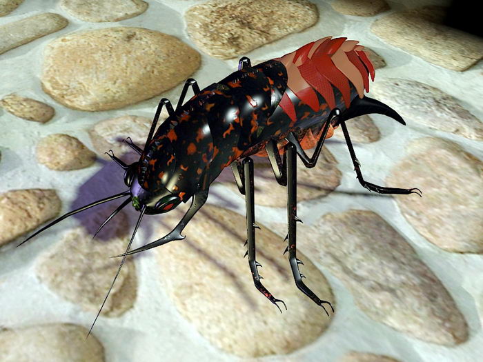 Cockroach Insect 3d rendering